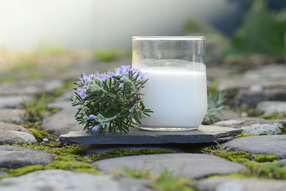 Frische Milch in Ratingen Hof Karpenhaus