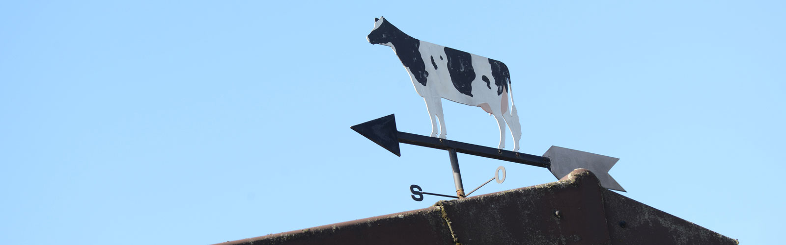 Frische Milch Hof Karpenhaus Ratingen Homberg