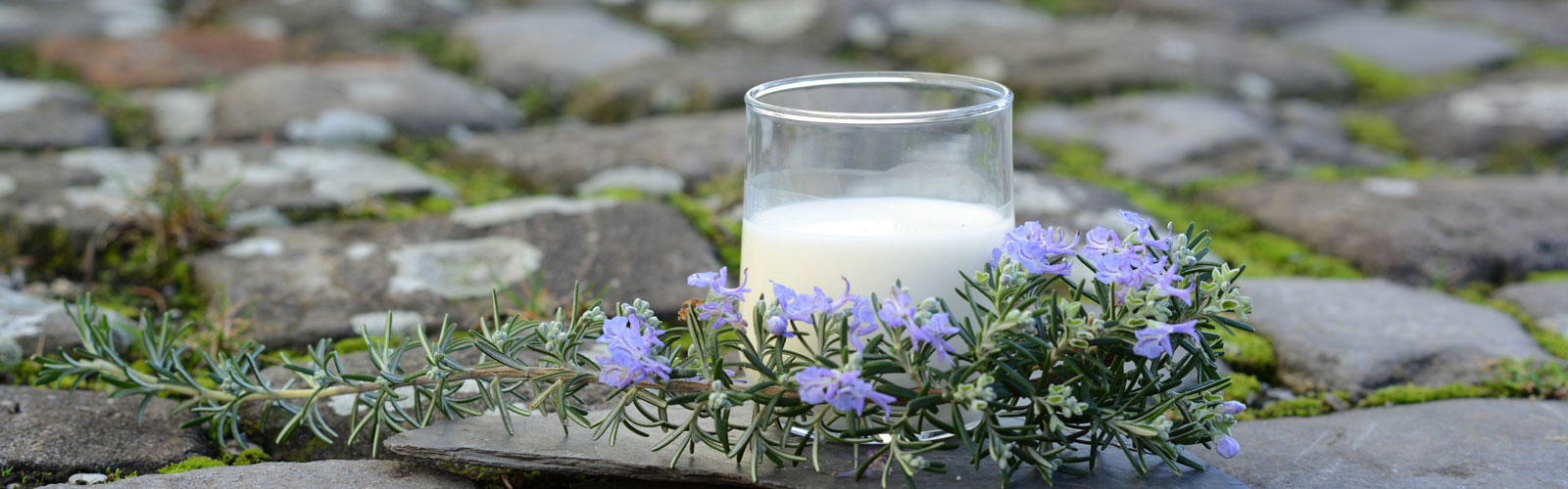 Frische Milch Hof Karpenhaus Ratingen Homberg